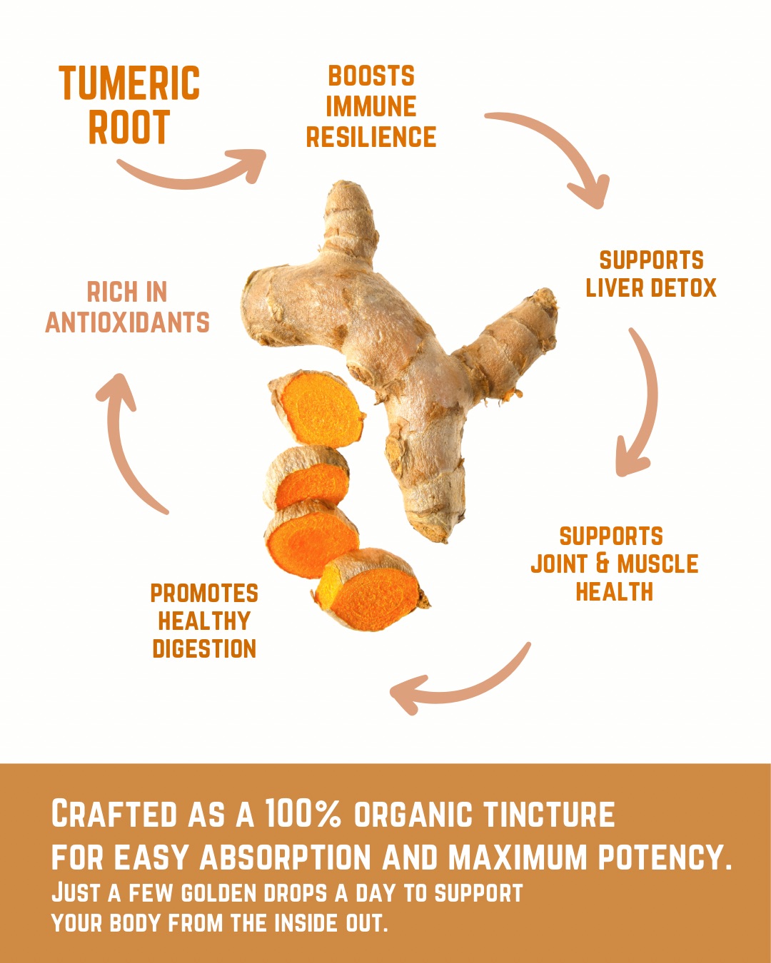 Kurkuma Tinktur, bio